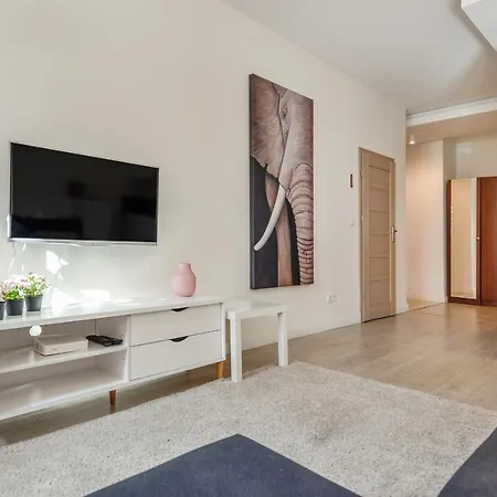 Apartament Meiguan With Huge Terrace + Extra 2 Parking Spots