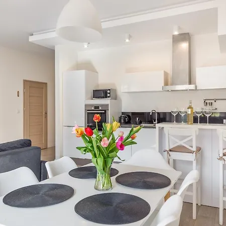 Meiguan With Huge Terrace + Extra 2 Parking Spots غدانسك