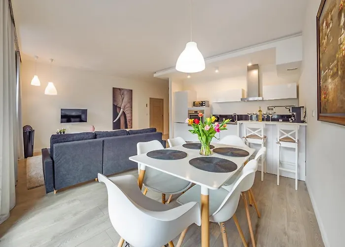 Meiguan With Huge Terrace + Extra 2 Parking Spots